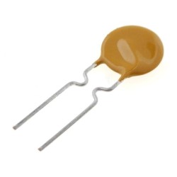 ERF-RA02560Z; Fuse: PTC polymer; 250mA; Pitch: 5.1mm; Leads dim: Ø0.51x7.6mm; ECE