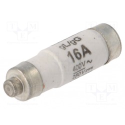 16NZ01; Fuse: fuse; 16A; 400VAC; 250VDC; ceramic,industrial; D01; BUSSMANN