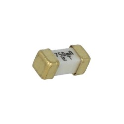 0449.750MR; Fuse: fuse; time-lag; 750mA; 125V; SMD; 6,1x2,69x2,69mm; 449; LITTELFUSE
